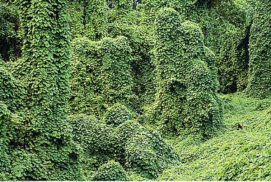  动作策略游戏《星符》Steam页面上线 明年发售